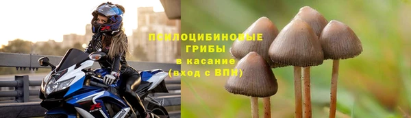 эйфоретик Кинешма